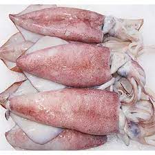  Cheap price frozen needle squid cleaned from vietnam