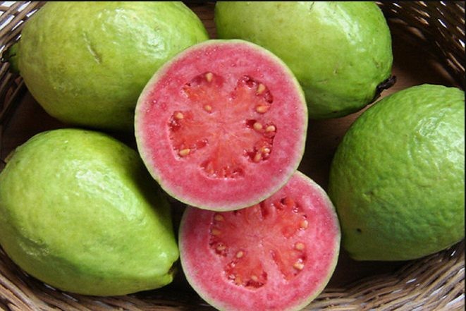  Guava Exports from Vietnam have many nutrients, with high vitamin C content, and are exported to US, ASIA and orther markets.