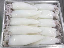  Hot product frozen squid cleaned for export from vietnam