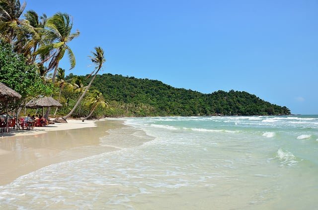 Starfish Beach