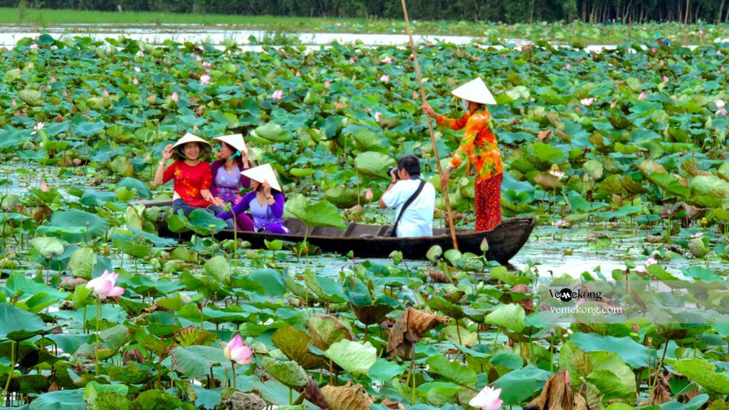 Thap Muoi lotus tourist resort