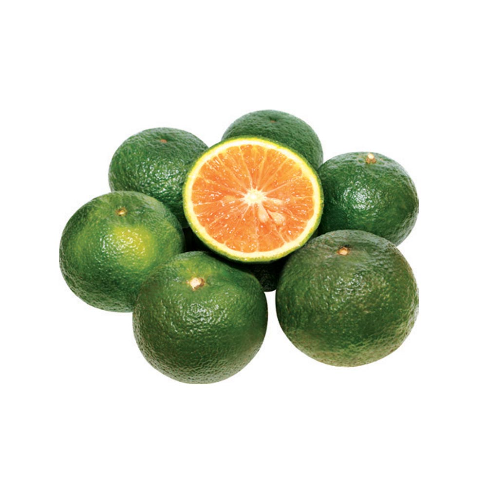  Vietnam green orange / King mandarin / Fresh fruit for importers