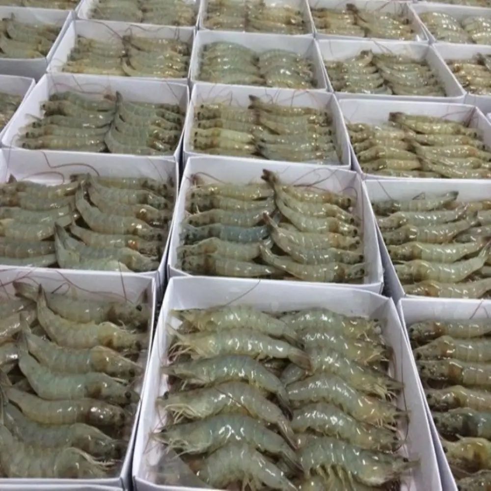  White Shrimp Export Seafood Fresh and boiled Vannamei Packaging Made In Vietnam Trading Frozen
