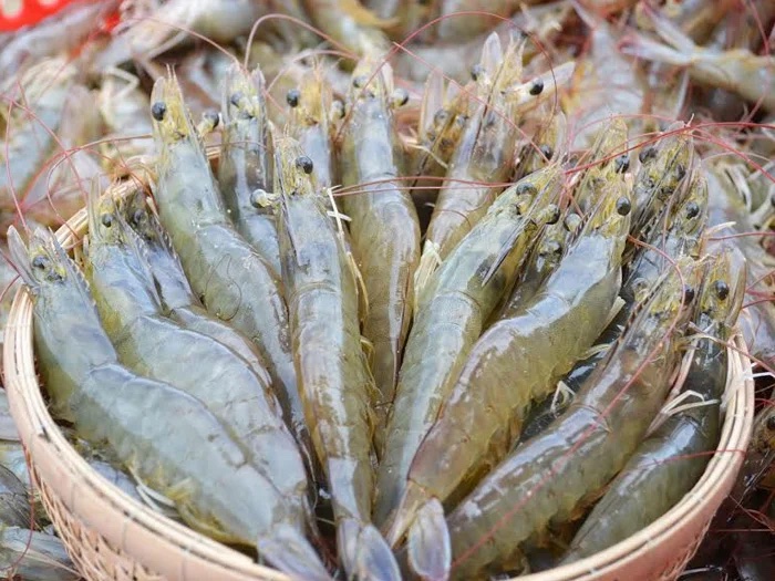  White Shrimp Export Seafood Fresh and boiled Vannamei Packaging Made In Vietnam Trading Frozen