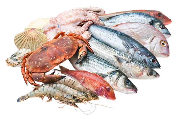 Sea Foods