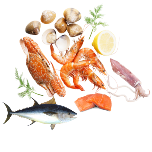 Sea Foods
